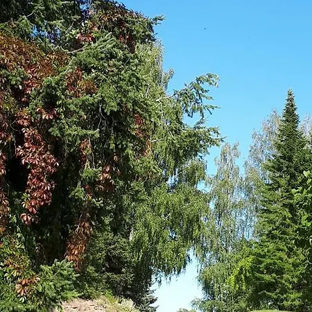 Near Lake Apartment Kuremaa