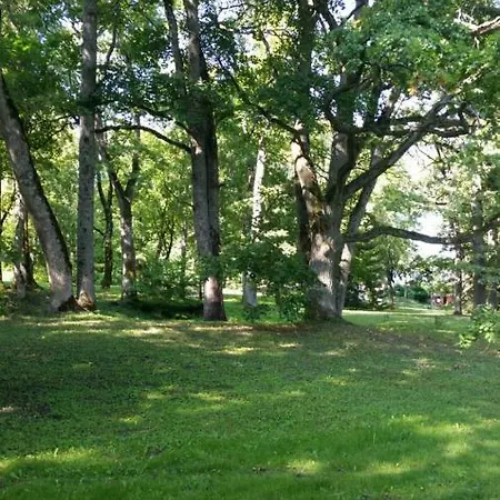 Near Lake Kuremaa