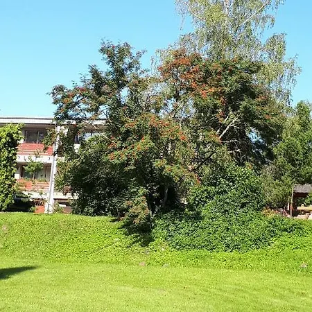 Near Lake Kuremaa