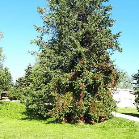 Near Lake Apartment *