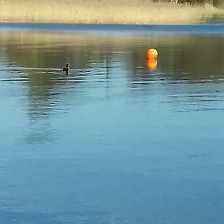 Near Lake