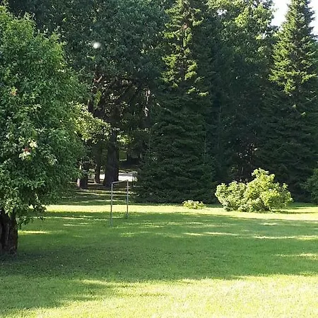 Near Lake
